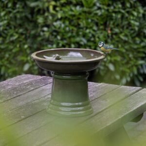 Fallen Fruits Small Terracotta Birdbath on Pedestal image 1 of 2