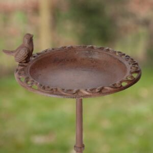 Fallen Fruits Standing Cast Iron Bird Bath with Bird image 1 of 2
